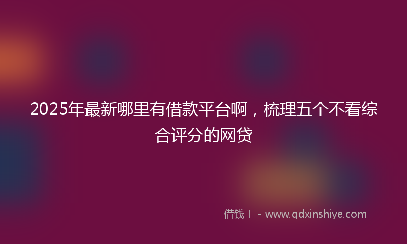 2025年最新哪里有借款平台啊，梳理五个不看综合评分的网贷