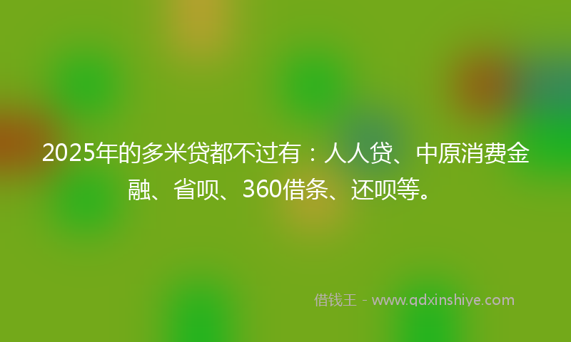 2025年的多米贷都不过有：人人贷、中原消费金融、省呗、360借条、还呗等。
