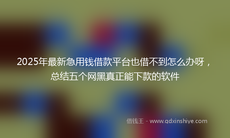 2025年最新急用钱借款平台也借不到怎么办呀，总结五个网黑真正能下款的软件