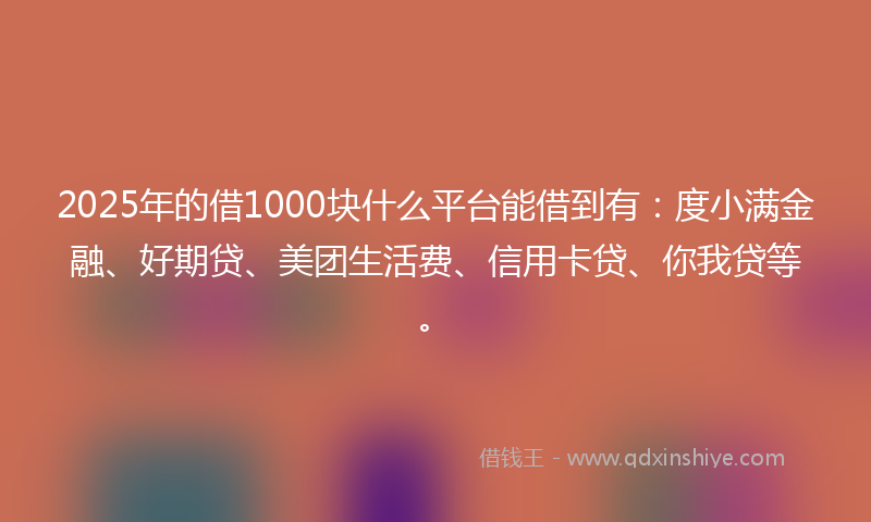2025年的借1000块什么平台能借到有：度小满金融、好期贷、美团生活费、信用卡贷、你我贷等。