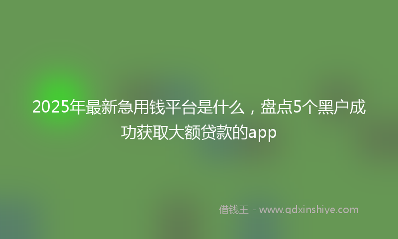 2025年最新急用钱平台是什么，盘点5个黑户成功获取大额贷款的app
