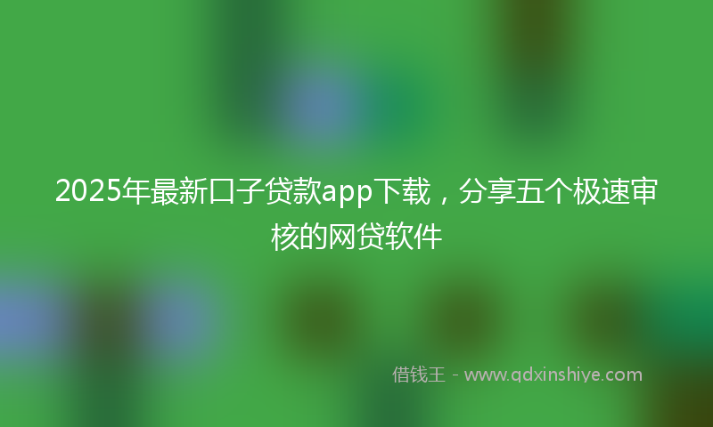 2025年最新口子贷款app下载，分享五个极速审核的网贷软件