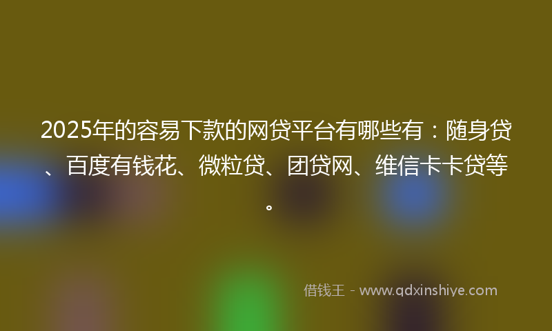 2025年的容易下款的网贷平台有哪些有：随身贷、百度有钱花、微粒贷、团贷网、维信卡卡贷等。