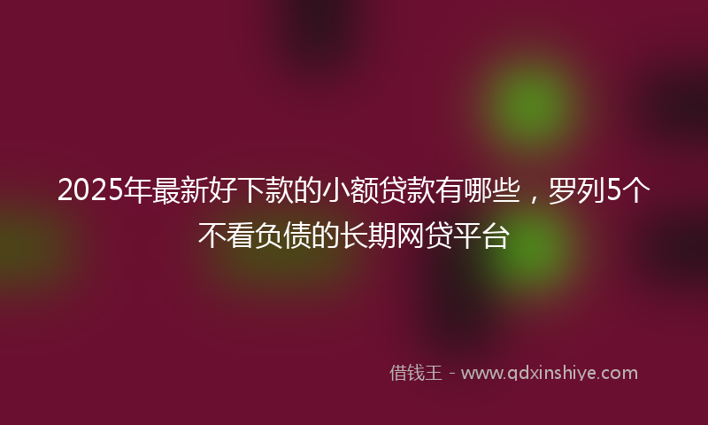 2025年最新好下款的小额贷款有哪些，罗列5个不看负债的长期网贷平台