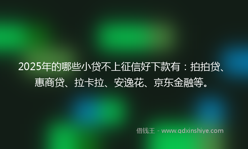 2025年的哪些小贷不上征信好下款有：拍拍贷、惠商贷、拉卡拉、安逸花、京东金融等。