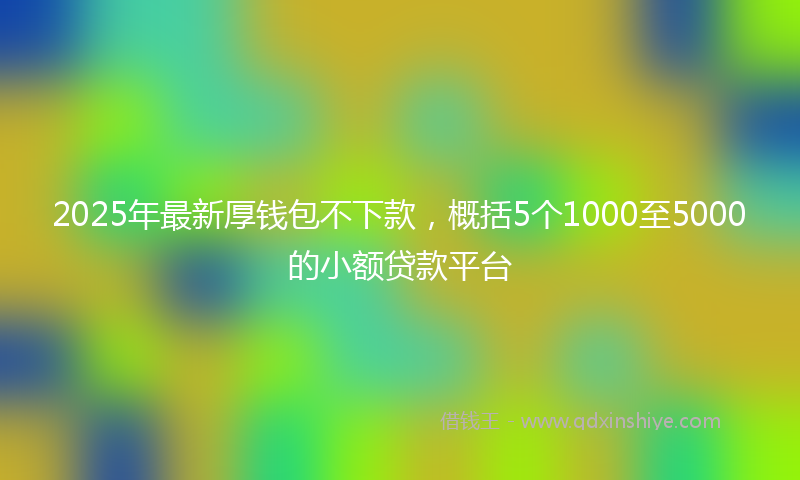 2025年最新厚钱包不下款，概括5个1000至5000的小额贷款平台