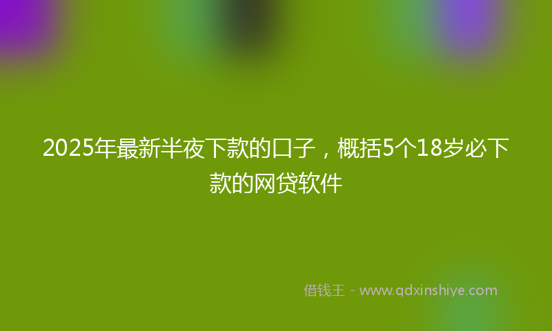 2025年最新半夜下款的口子，概括5个18岁必下款的网贷软件