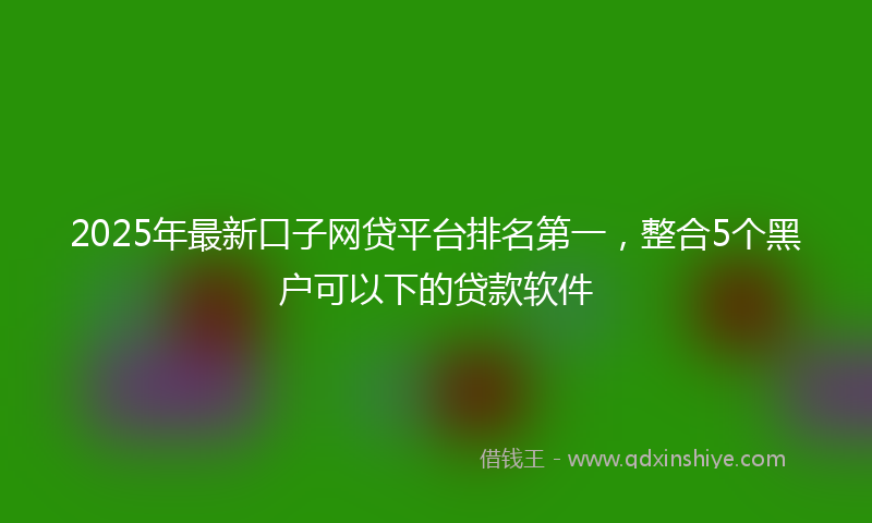 2025年最新口子网贷平台排名第一，整合5个黑户可以下的贷款软件