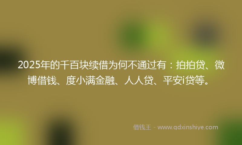 2025年的千百块续借为何不通过有：拍拍贷、微博借钱、度小满金融、人人贷、平安i贷等。