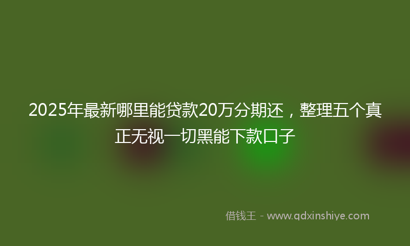 2025年最新哪里能贷款20万分期还，整理五个真正无视一切黑能下款口子