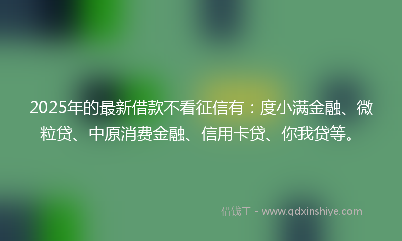 2025年的最新借款不看征信有：度小满金融、微粒贷、中原消费金融、信用卡贷、你我贷等。