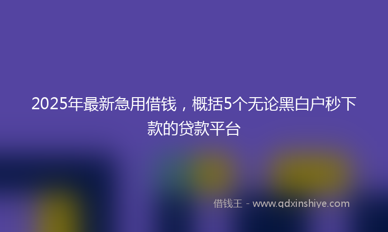 2025年最新急用借钱，概括5个无论黑白户秒下款的贷款平台