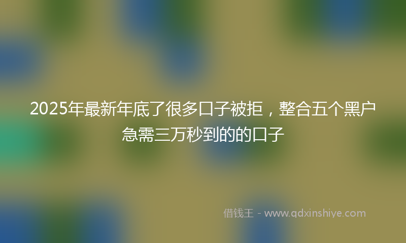 2025年最新年底了很多口子被拒，整合五个黑户急需三万秒到的的口子