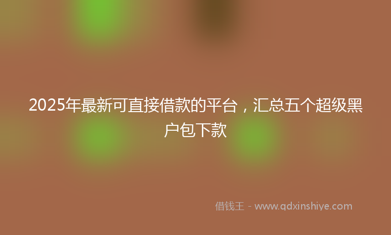 2025年最新可直接借款的平台，汇总五个超级黑户包下款