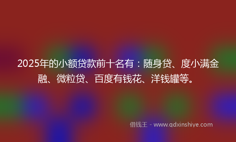 2025年的小额贷款前十名有：随身贷、度小满金融、微粒贷、百度有钱花、洋钱罐等。