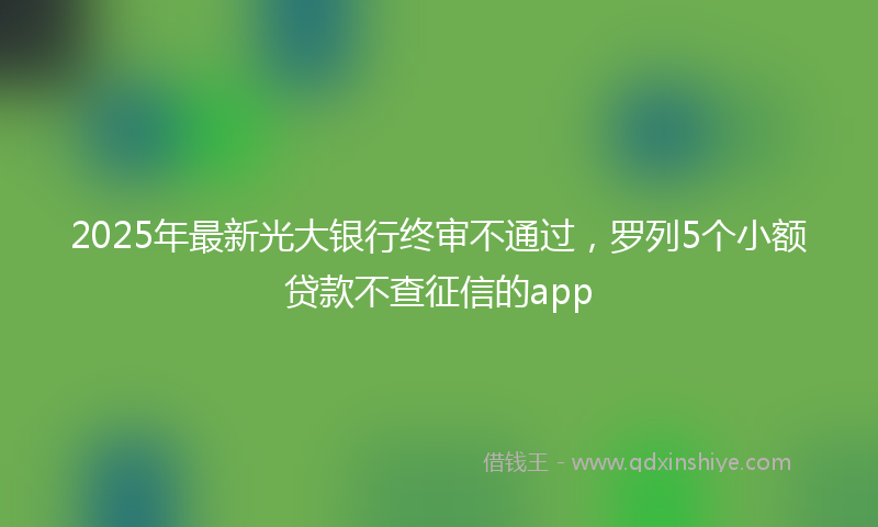 2025年最新光大银行终审不通过，罗列5个小额贷款不查征信的app