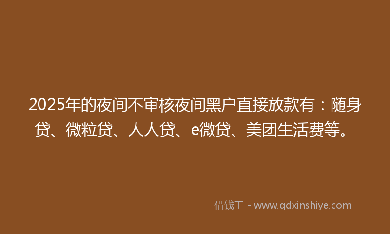 2025年的夜间不审核夜间黑户直接放款有：随身贷、微粒贷、人人贷、e微贷、美团生活费等。