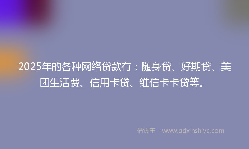 2025年的各种网络贷款有：随身贷、好期贷、美团生活费、信用卡贷、维信卡卡贷等。