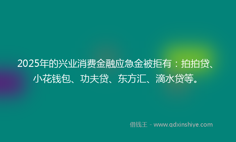 2025年的兴业消费金融应急金被拒有：拍拍贷、小花钱包、功夫贷、东方汇、滴水贷等。