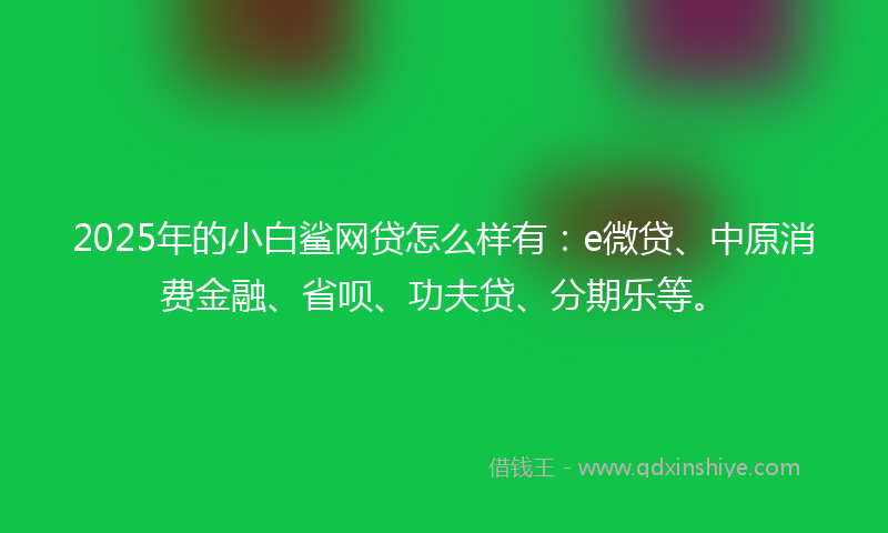 2025年的小白鲨网贷怎么样有：e微贷、中原消费金融、省呗、功夫贷、分期乐等。
