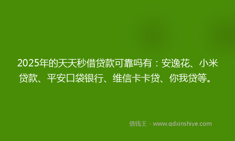 2025年的天天秒借贷款可靠吗有：安逸花、小米贷款、平安口袋银行、维信卡卡贷、你我贷等。