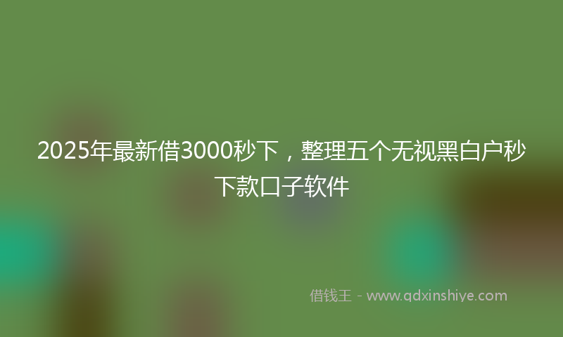 2025年最新借3000秒下，整理五个无视黑白户秒下款口子软件