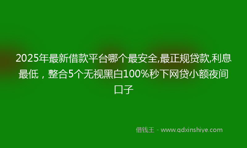 2025年最新借款平台哪个最安全,最正规贷款,利息最低，整合5个无视黑白100%秒下网贷小额夜间口子