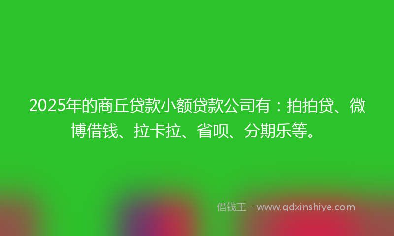 2025年的商丘贷款小额贷款公司有：拍拍贷、微博借钱、拉卡拉、省呗、分期乐等。