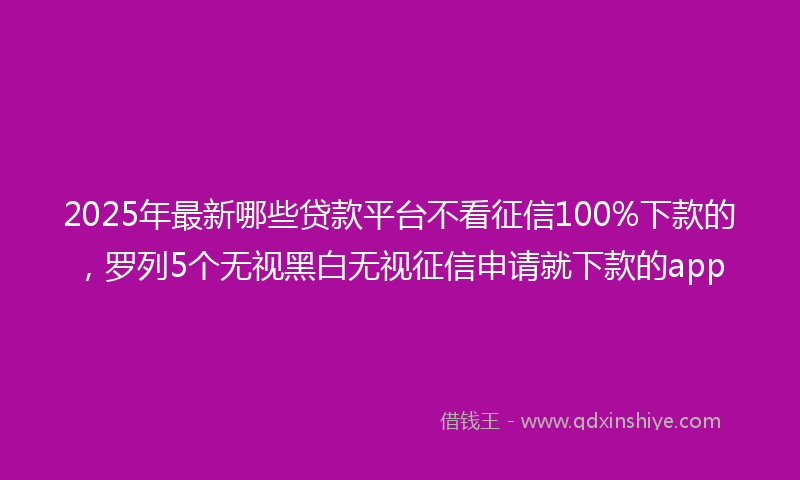 2025年最新哪些贷款平台不看征信100%下款的，罗列5个无视黑白无视征信申请就下款的app