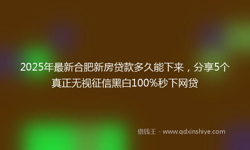 2025年最新合肥新房贷款多久能下来，分享5个真正无视征信黑白100%秒下网贷