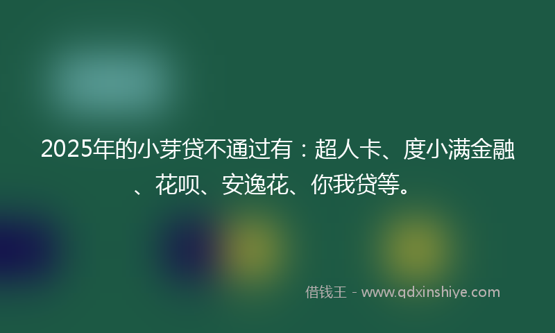2025年的小芽贷不通过有：超人卡、度小满金融、花呗、安逸花、你我贷等。