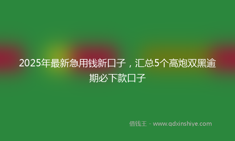 2025年最新急用钱新口子，汇总5个高炮双黑逾期必下款口子