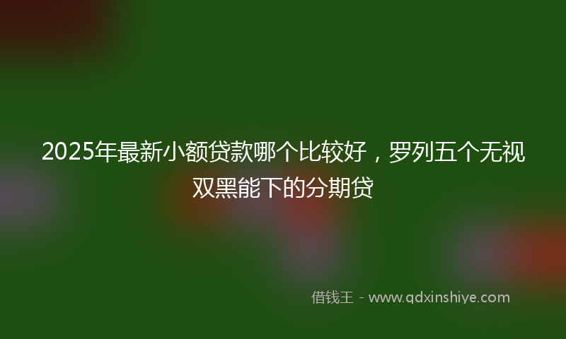 2025年最新小额贷款哪个比较好，罗列五个无视双黑能下的分期贷