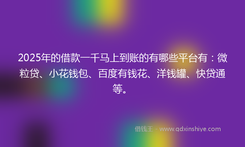 2025年的借款一千马上到账的有哪些平台有：微粒贷、小花钱包、百度有钱花、洋钱罐、快贷通等。
