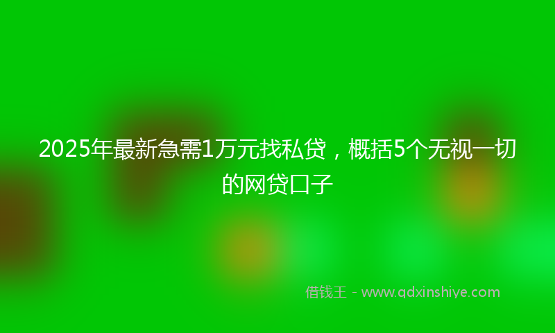 2025年最新急需1万元找私贷，概括5个无视一切的网贷口子
