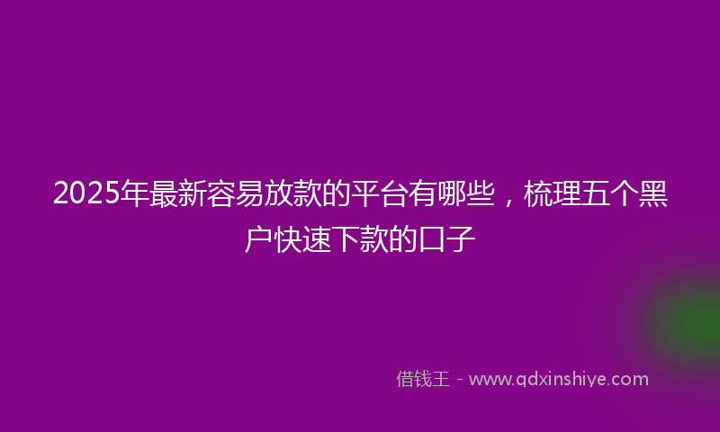 2025年最新容易放款的平台有哪些，梳理五个黑户快速下款的口子