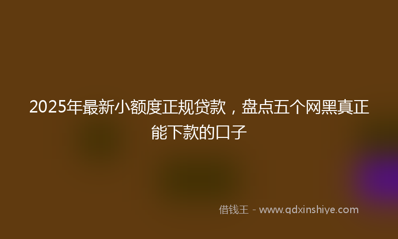 2025年最新小额度正规贷款，盘点五个网黑真正能下款的口子