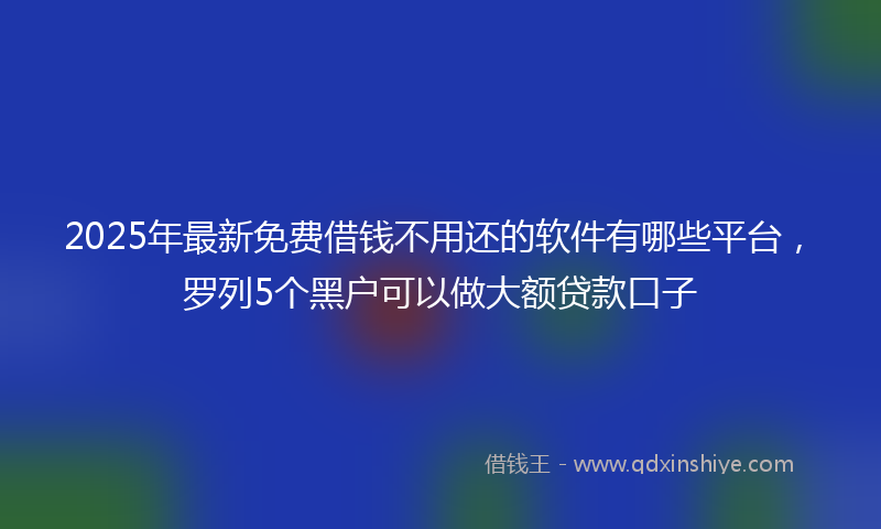 2025年最新免费借钱不用还的软件有哪些平台，罗列5个黑户可以做大额贷款口子