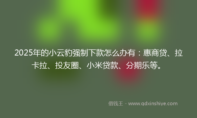 2025年的小云豹强制下款怎么办有：惠商贷、拉卡拉、投友圈、小米贷款、分期乐等。