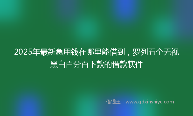 2025年最新急用钱在哪里能借到，罗列五个无视黑白百分百下款的借款软件