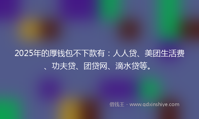 2025年的厚钱包不下款有：人人贷、美团生活费、功夫贷、团贷网、滴水贷等。