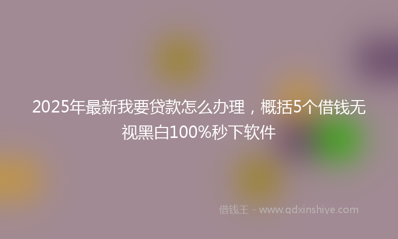 2025年最新我要贷款怎么办理，概括5个借钱无视黑白100%秒下软件