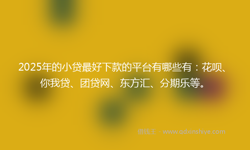 2025年的小贷最好下款的平台有哪些有：花呗、你我贷、团贷网、东方汇、分期乐等。