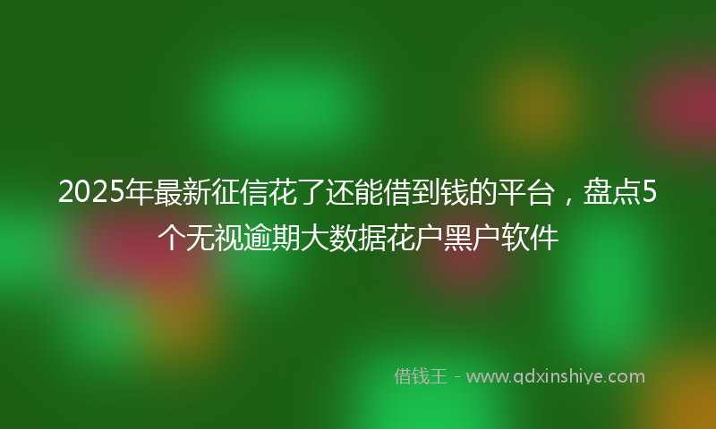 2025年最新征信花了还能借到钱的平台，盘点5个无视逾期大数据花户黑户软件