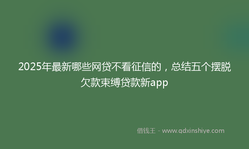 2025年最新哪些网贷不看征信的，总结五个摆脱欠款束缚贷款新app