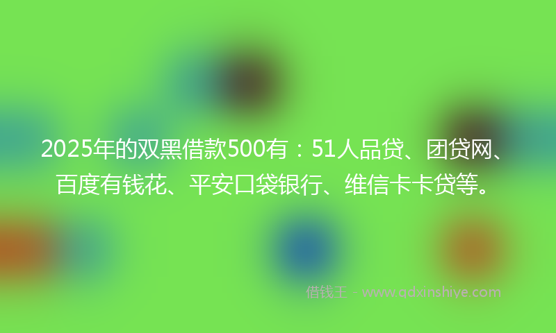 2025年的双黑借款500有：51人品贷、团贷网、百度有钱花、平安口袋银行、维信卡卡贷等。