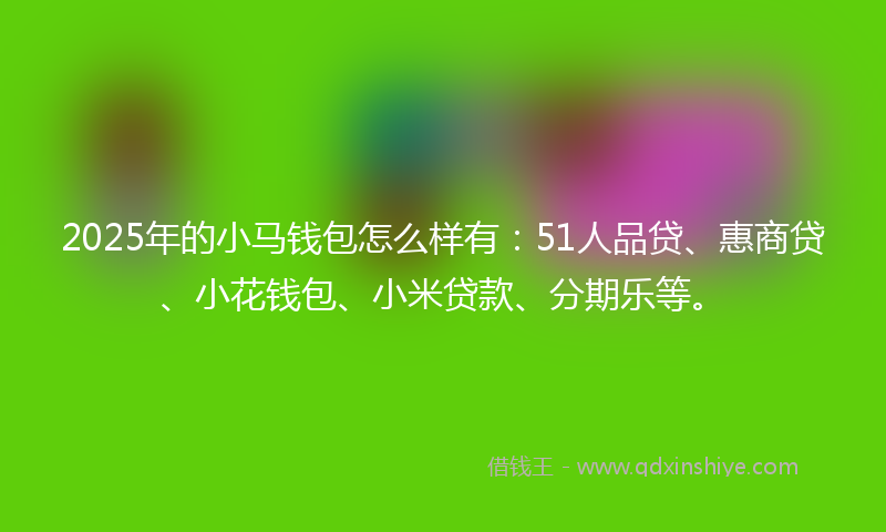 2025年的小马钱包怎么样有：51人品贷、惠商贷、小花钱包、小米贷款、分期乐等。