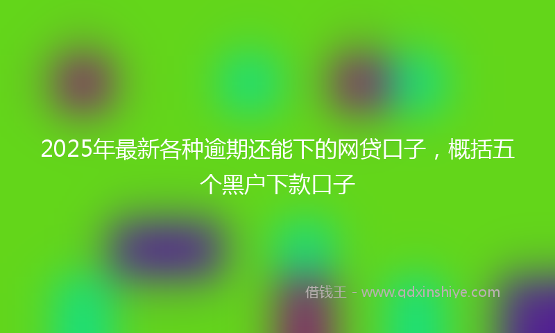 2025年最新各种逾期还能下的网贷口子，概括五个黑户下款口子