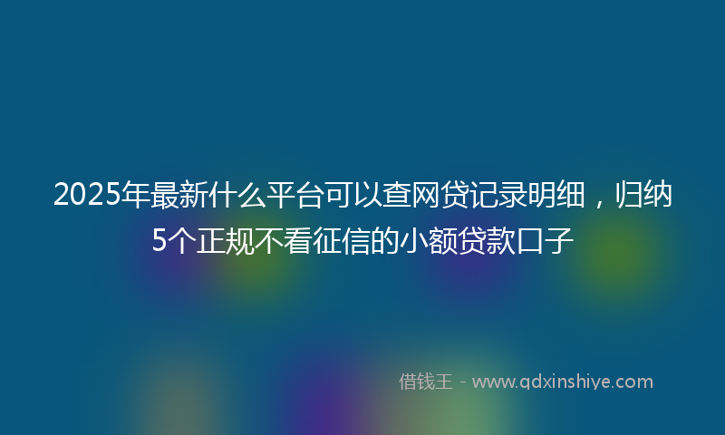 2025年最新什么平台可以查网贷记录明细，归纳5个正规不看征信的小额贷款口子