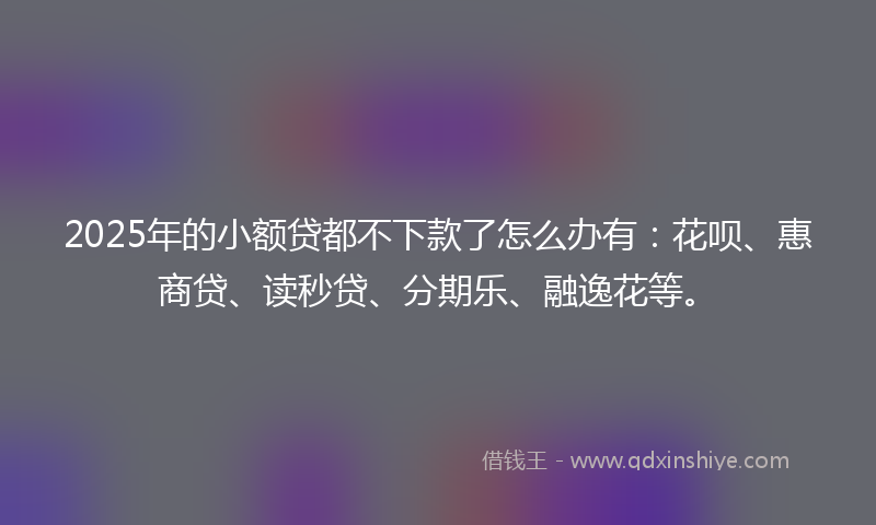 2025年的小额贷都不下款了怎么办有：花呗、惠商贷、读秒贷、分期乐、融逸花等。